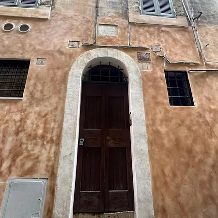 Navona Fox House 1-3